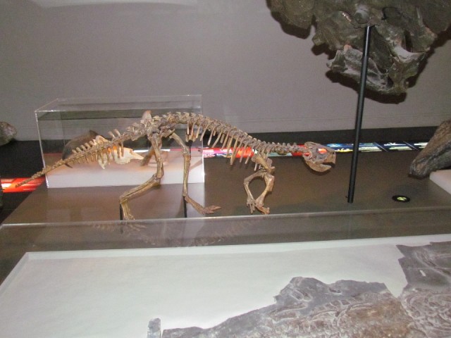museum
