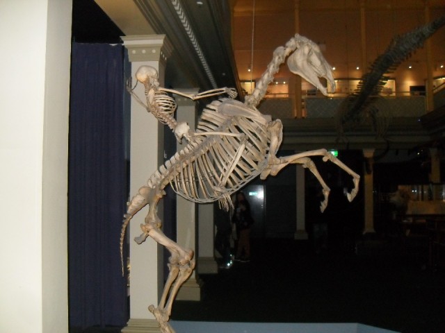 museum