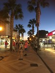 IMG_2428