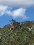 IMG_2507