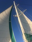IMG_2557