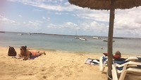 IMG_2542