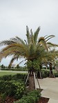 DSC04584