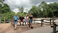 DSC04594