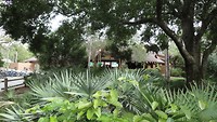 DSC04595