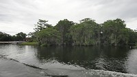 DSC04603