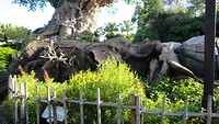 DSC04634