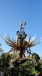 DSC04638