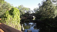 DSC04640