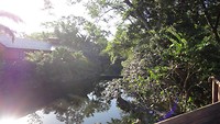 DSC04641