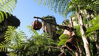 DSC04645