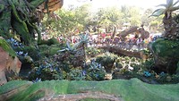 DSC04649