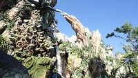 DSC04650