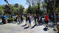 DSC04659