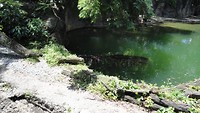 DSC04687