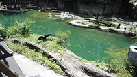 DSC04689