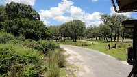 DSC04691