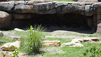 DSC04692