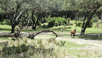 DSC04694