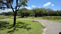 DSC04696