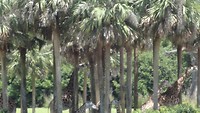 DSC04700