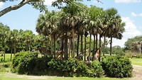 DSC04701