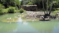 DSC04709
