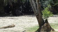 DSC04711