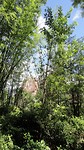 DSC04733