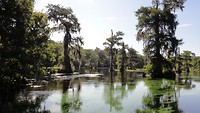 DSC04798