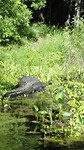 DSC04799