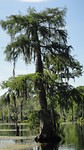 DSC04800