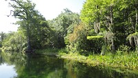 DSC04806