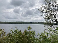 IMG_2654