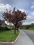 IMG_2660
