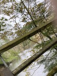 IMG_2676