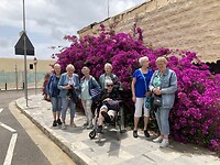 IMG_2914