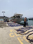 IMG_3014