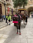 IMG_3093
