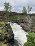 IMG_3553
