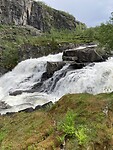 IMG_3557