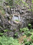IMG_3625