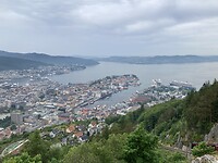 IMG_3683