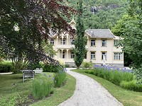 IMG_3705