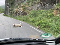 IMG_3730