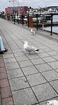 IMG_4081