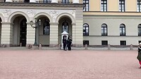 IMG_4240