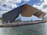 IMG_4281