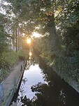 IMG_5343
