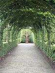 IMG_5384